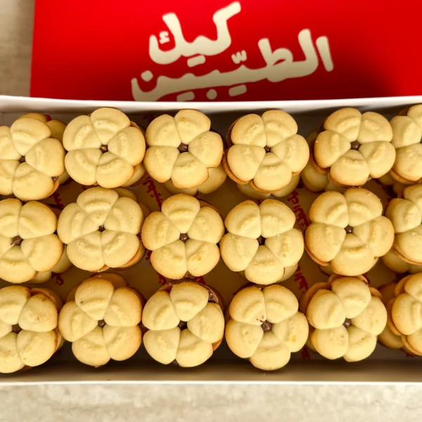 apc-0035-1600x1600 Nutella Biscuit White 500 g