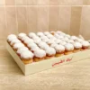 apc-0095-1600x1600 Mini's Tray