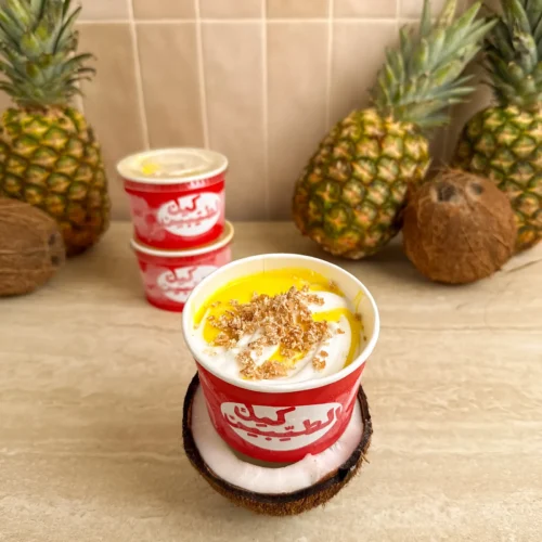 apc-0231-jpg-1600x1600 Pina Colada Ice Cream